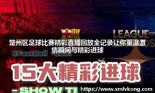 乐鱼电竞官网